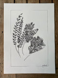 Kowhai Flowers - Ink on Paper - PLUS Digital Download for Colouring Available!
