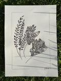 Kowhai Flowers - Ink on Paper - PLUS Digital Download for Colouring Available!