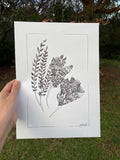 Kowhai Flowers - Ink on Paper - PLUS Digital Download for Colouring Available!